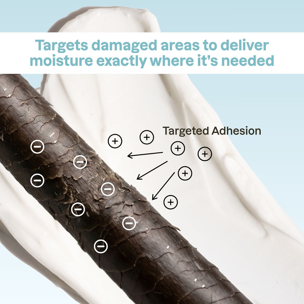 MOISTURE INFUSION BUTTER<br> 1 Case (6 UNITS)