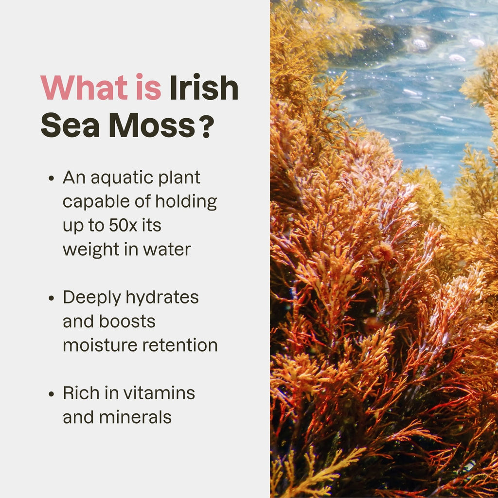 Irish Sea Moss Gel  <br> 1 Case (12 UNITS)