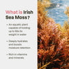 Irish Sea Moss Gel  <br> 1 Case (12 UNITS)